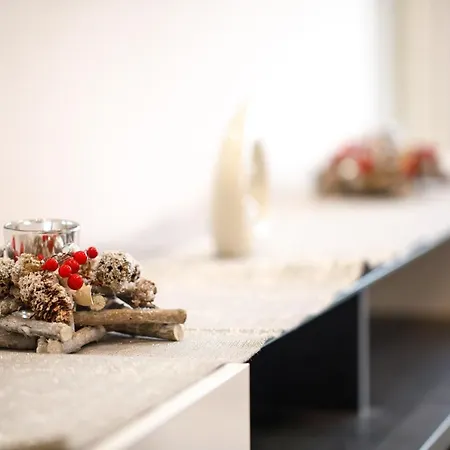 公寓 Niki 阿然德洛维克