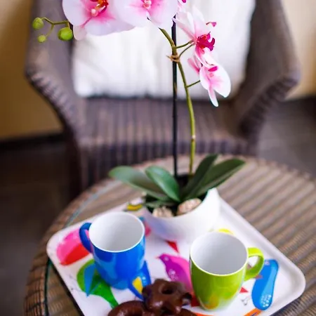 Niki * 阿然德洛维克